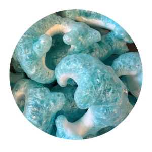 Freeze Dried Sharks